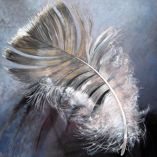 OWL FEATHER
acrylic on canvas
1000mm x 1000mm